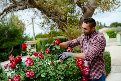 Gardener performing routine maintenance on a communal planting bed